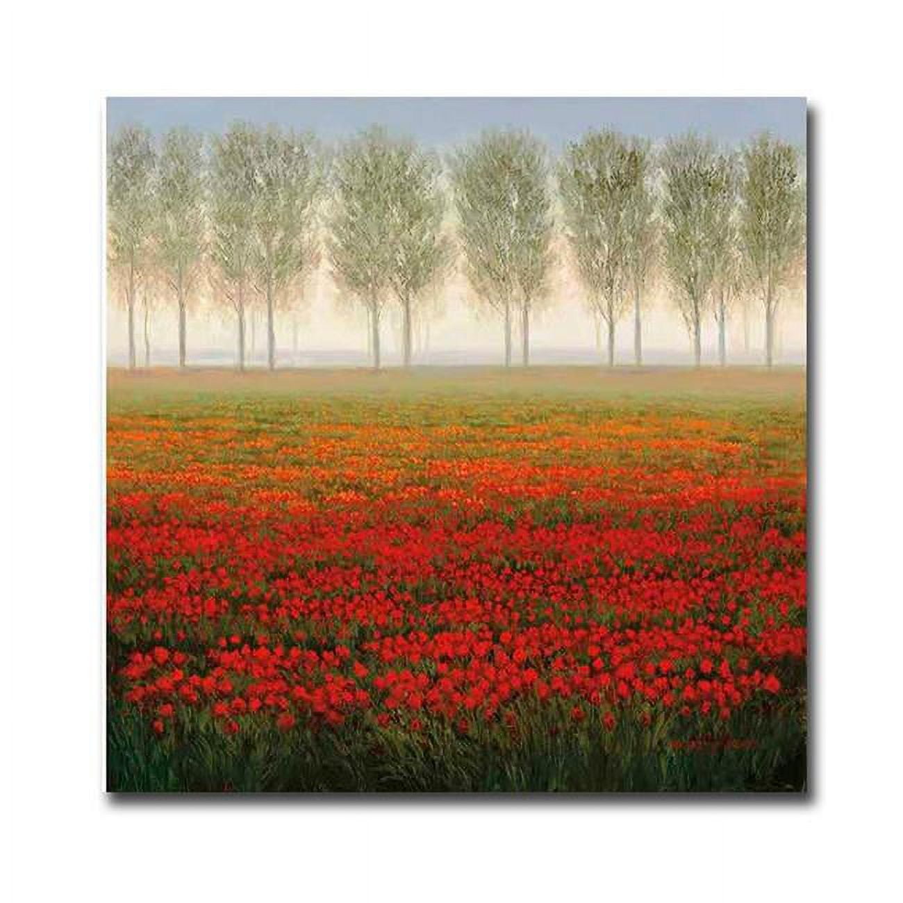 3030AM762EG Morning Mist by Park Premium Gallery Wrapped Canvas Giclee Art - Ready to Hang, 30 x 30 x 1.5 in.