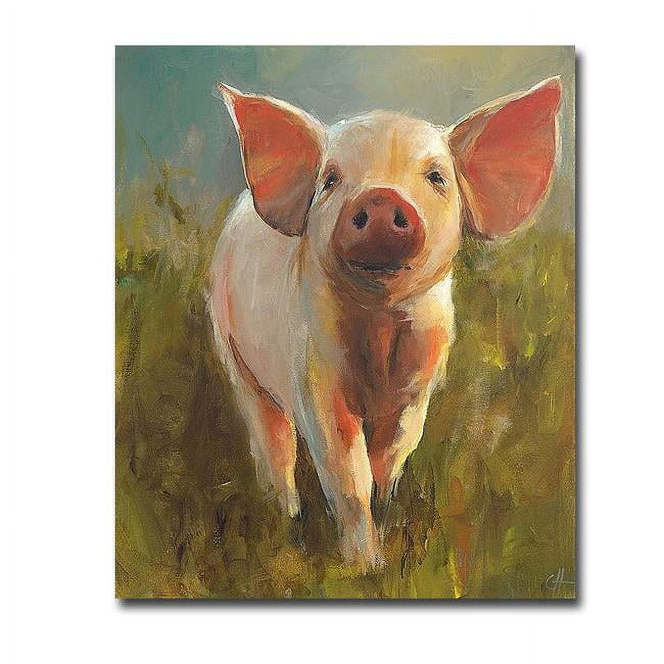 Morning Pig by Cari J Humphry Premium Gallery-Wrapped Canvas Giclee - Ready to Hang, 30 x 36 x 1.5 in.