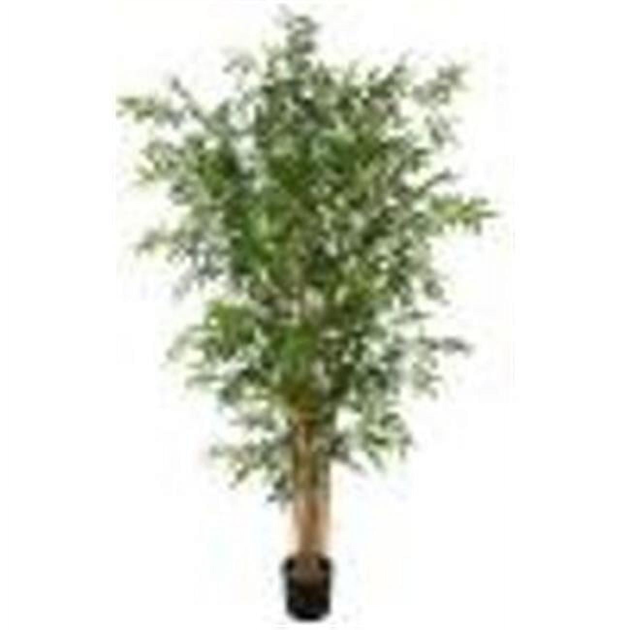 6 ft. Japanese Bamboo - Tutone Green