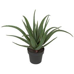 A-162110 26 in. Plastic Aloe x 23, Green