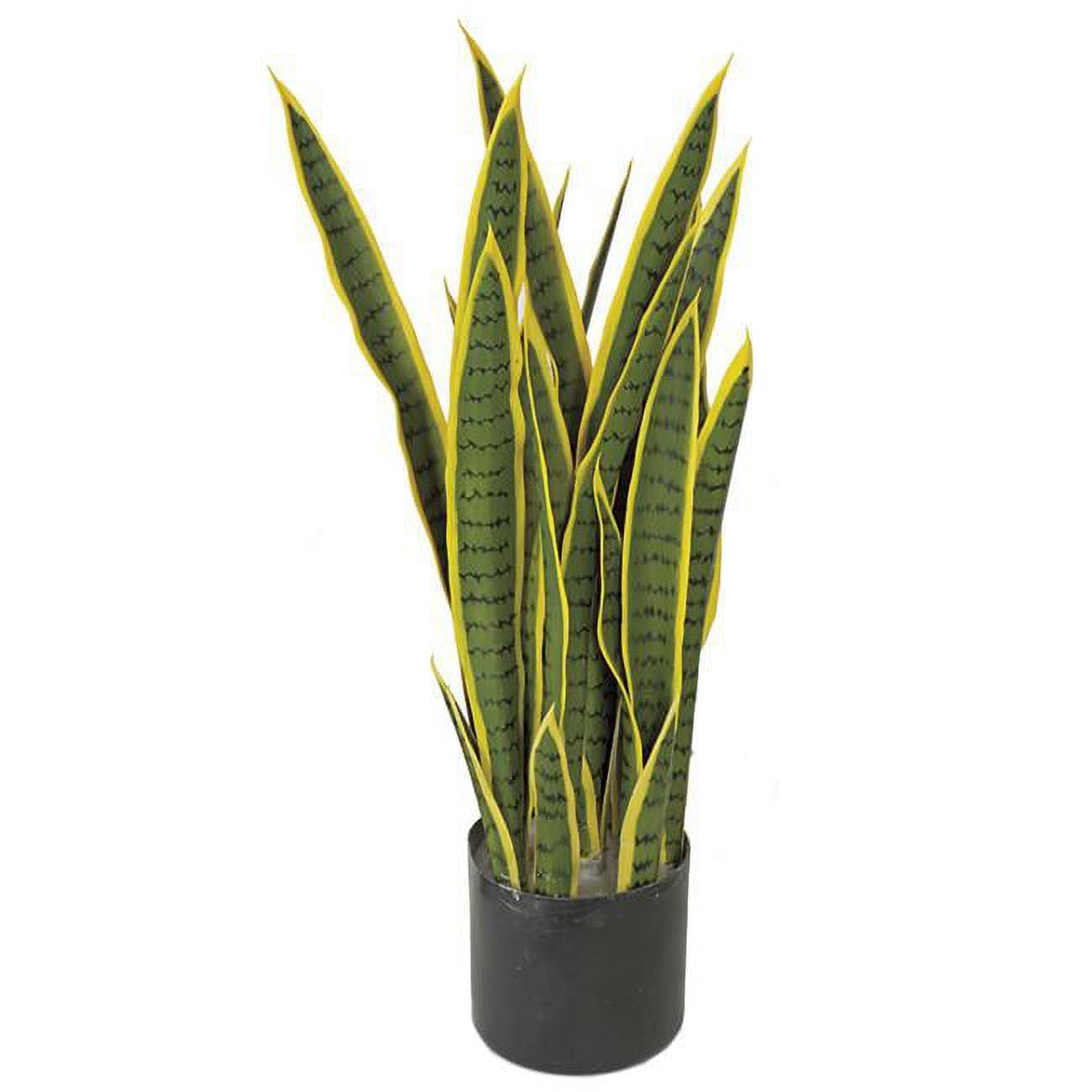28 in. Fire Retardant Sansevieria - Green - Yellow