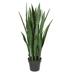 A-162195 39 in. Sansevieria Plant, Green