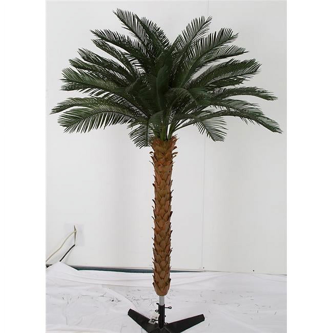 Picture of Autograph Foliages A-174530 3.5 ft. Cycas Palm Cluster by 4&#44; Green