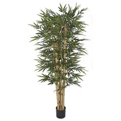Autograph Foliages W-170300 7 ft. New Bamboo Tree with Thick & Thin Canes44; Green