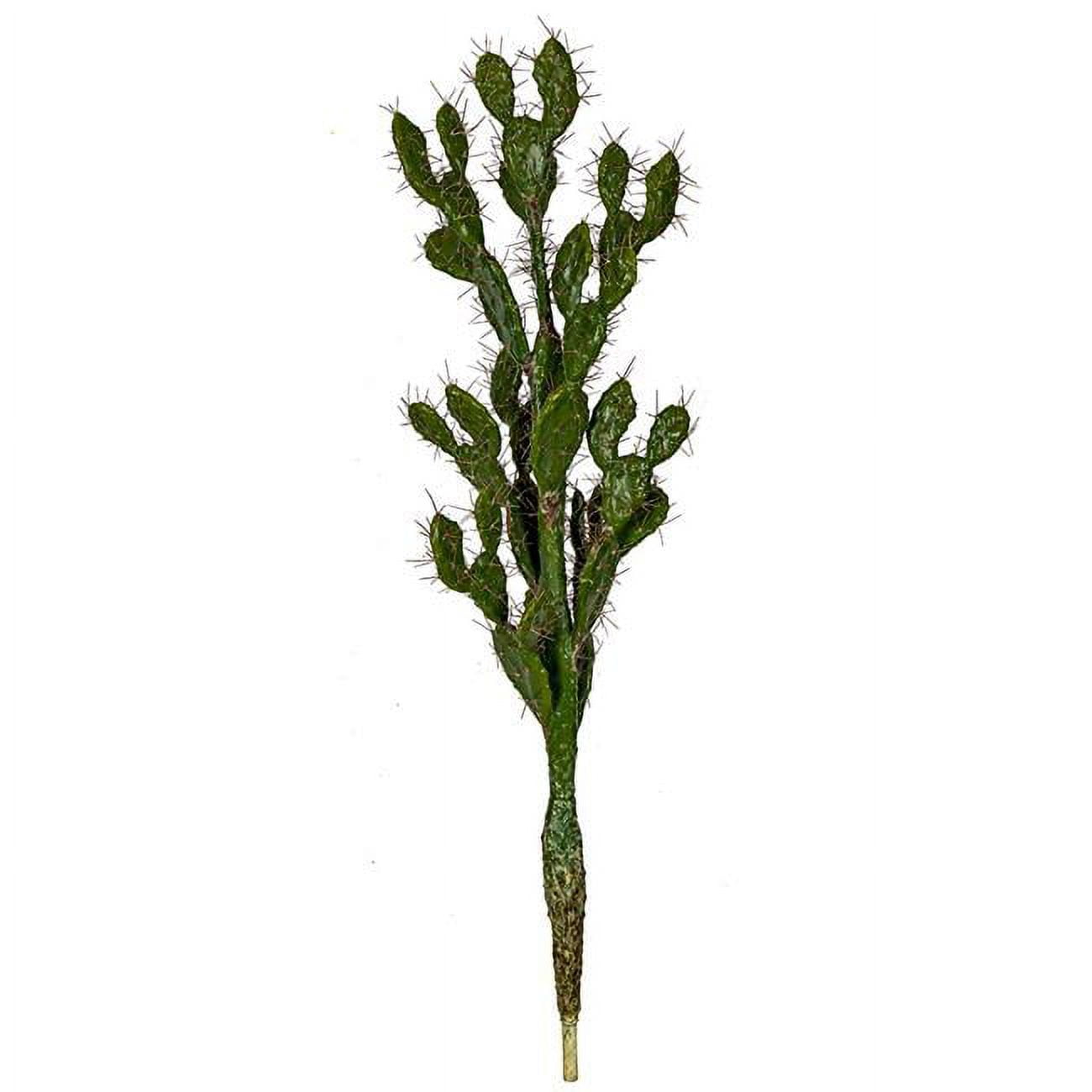 Picture of Autograph Foliages A-183200 42 in. Prickly Pear Cactus with Needles&#44; Green & Brown