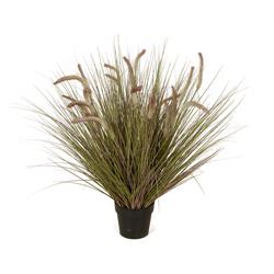Picture of Autograph Foliages A-184690 38 in. Onion Grass in Pot&#44; Light Green & Lavender