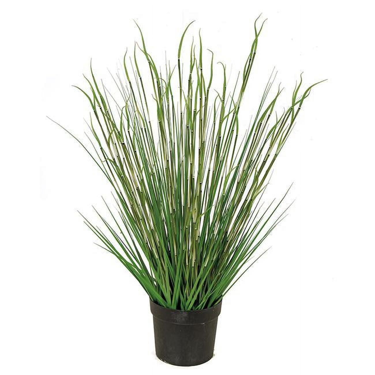 41 in. Onion Grass in Pot, Green