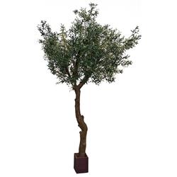 10 ft. Olive Tree PVC Trunk & Wood Pot, Green