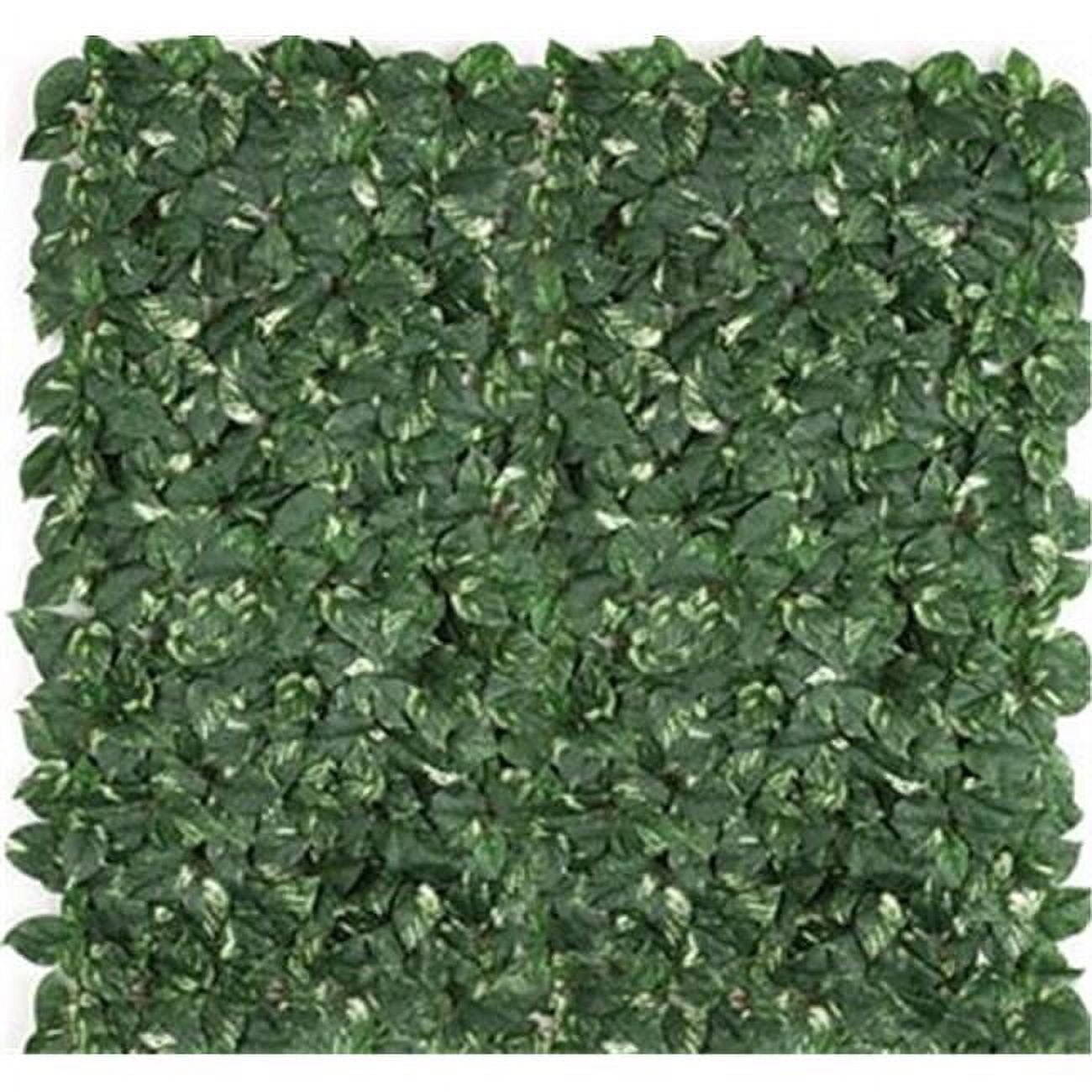 4 x 4 ft. Fire Pothos Grid, Green