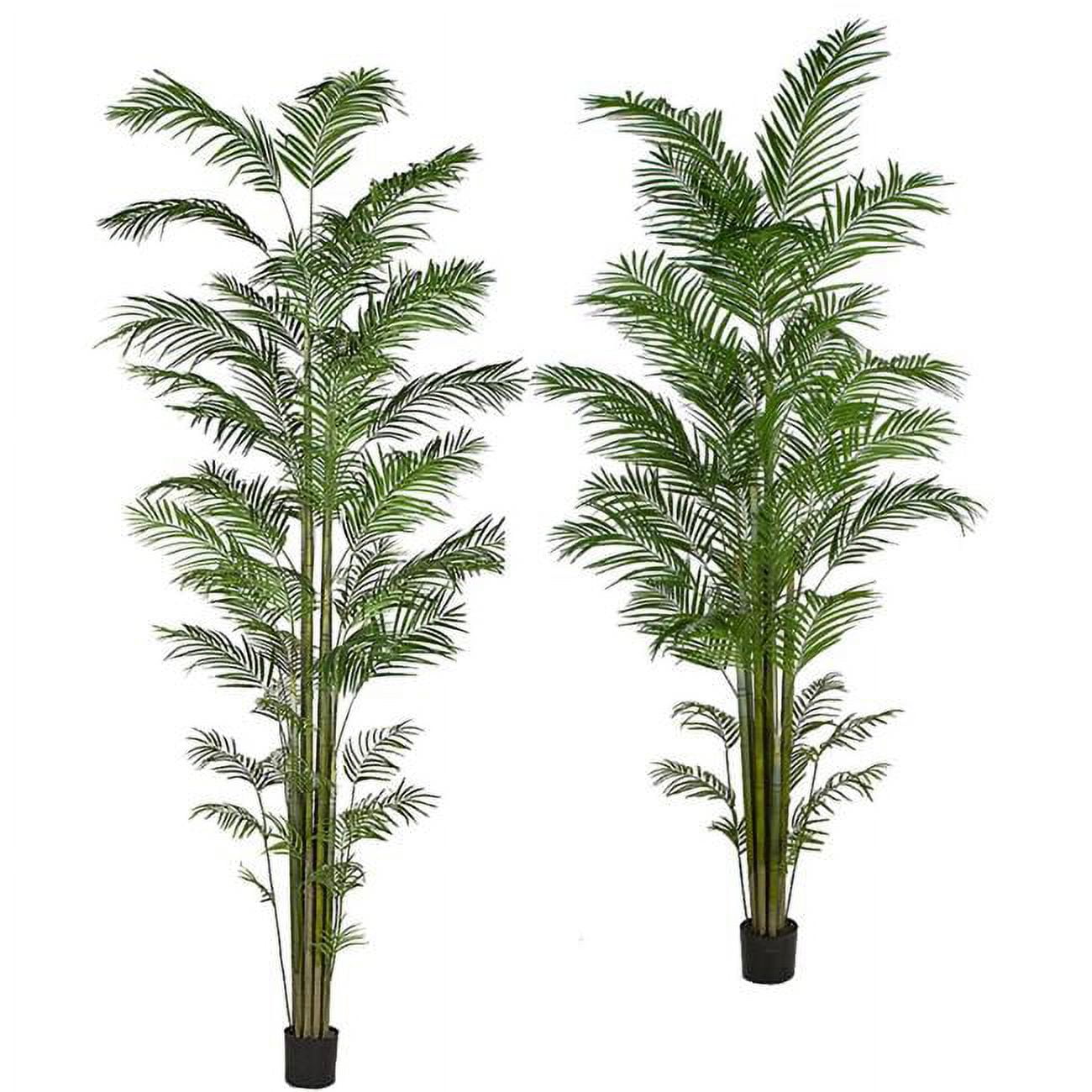 P-180290 12 ft. Areca Palm Tree, Green