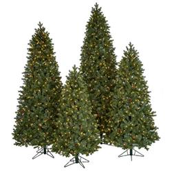 6 ft. Mixed Spruce Tree
