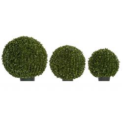 24 in. Japanese Boxwood Ball Topiary, Tutone Green