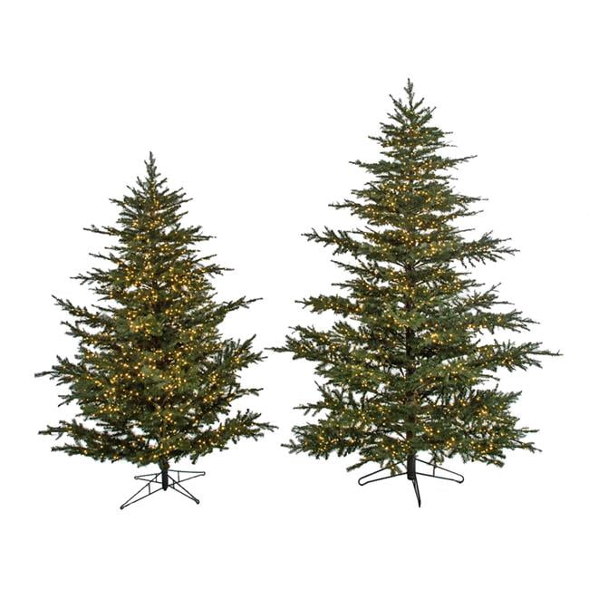 Picture of Autograph Foliages C-195814 12 ft. Full Size Arkansas Spruce Trees with Lights