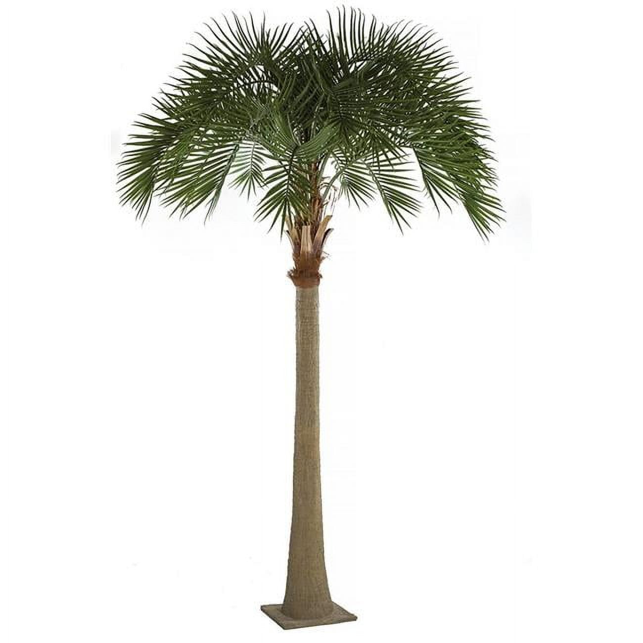 Picture of Autograph Foliages A-196220 17 ft. Royal Palm Tree&#44; Green