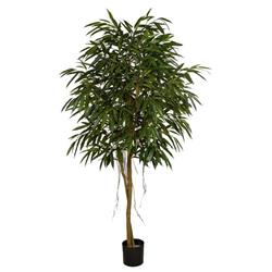 P-180100 7 ft. Ficus Longifolia Tree, Tutone Green