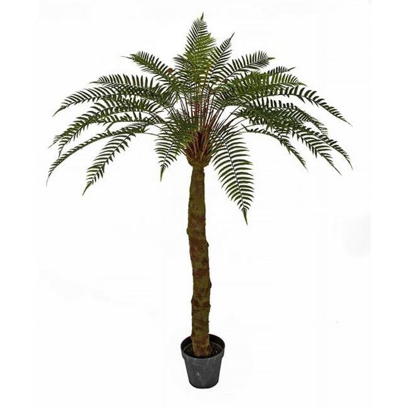 Picture of Autograph Foliages A-184120 5.5 ft. Fern Tree with Pot, Multi Color