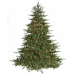 12 ft. Asheville Spruce Tree
