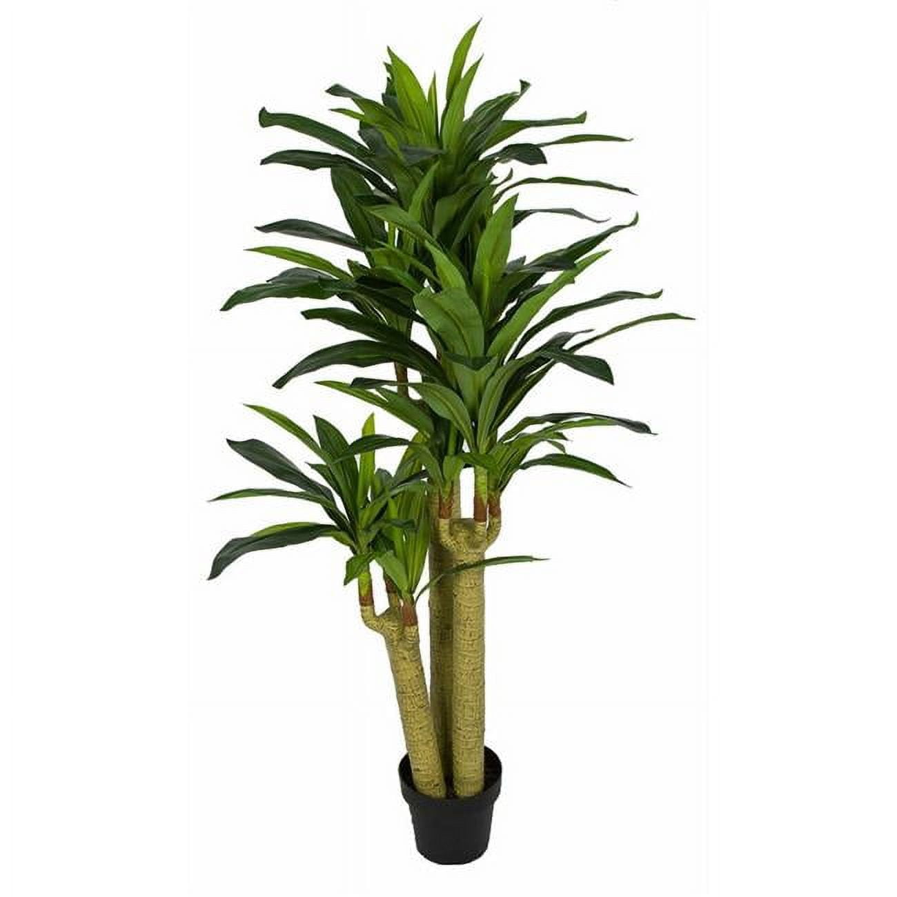 P-184160 5 ft. Natural Touch Artificial Dracaena Corn Plant, Set of 2