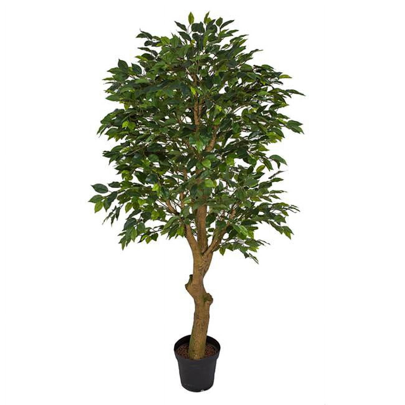 Picture of Autograph Foliages A-192680 6 ft. Ficus Tree with Synthetic Trunk&#44; Green