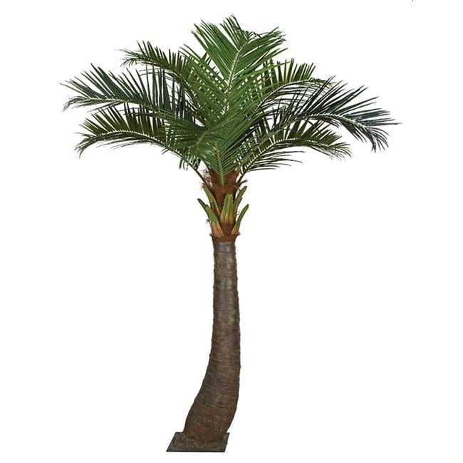 Picture of Autograph Foliages A-192720 11.5 ft. Coconut Palm Tree with Fiberglass Trunk, Green