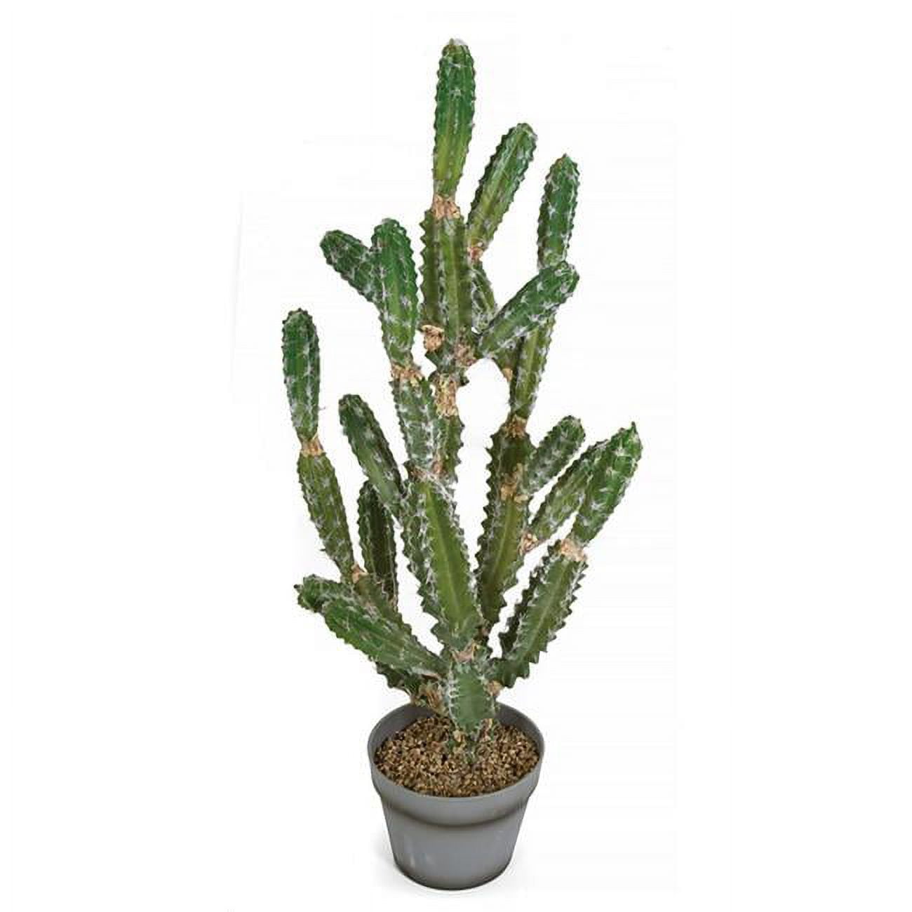 Picture of Autograph Foliages A-196050 33 in. Potted Cactus Plant with Light Needles, Green