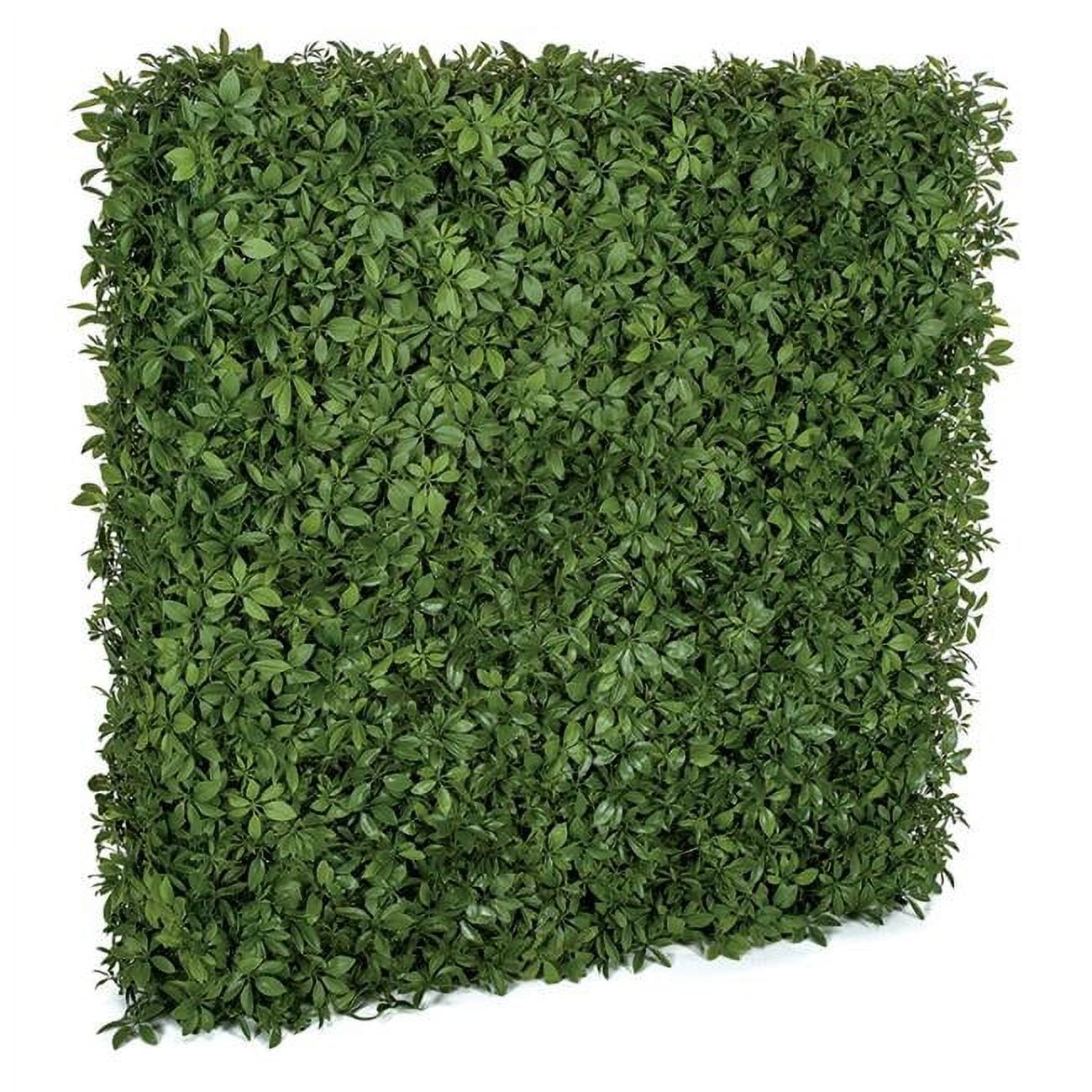 72 in. UV Artificial Schefflera Leaf Hedge for Indoor or Outdoor Use, TT Green
