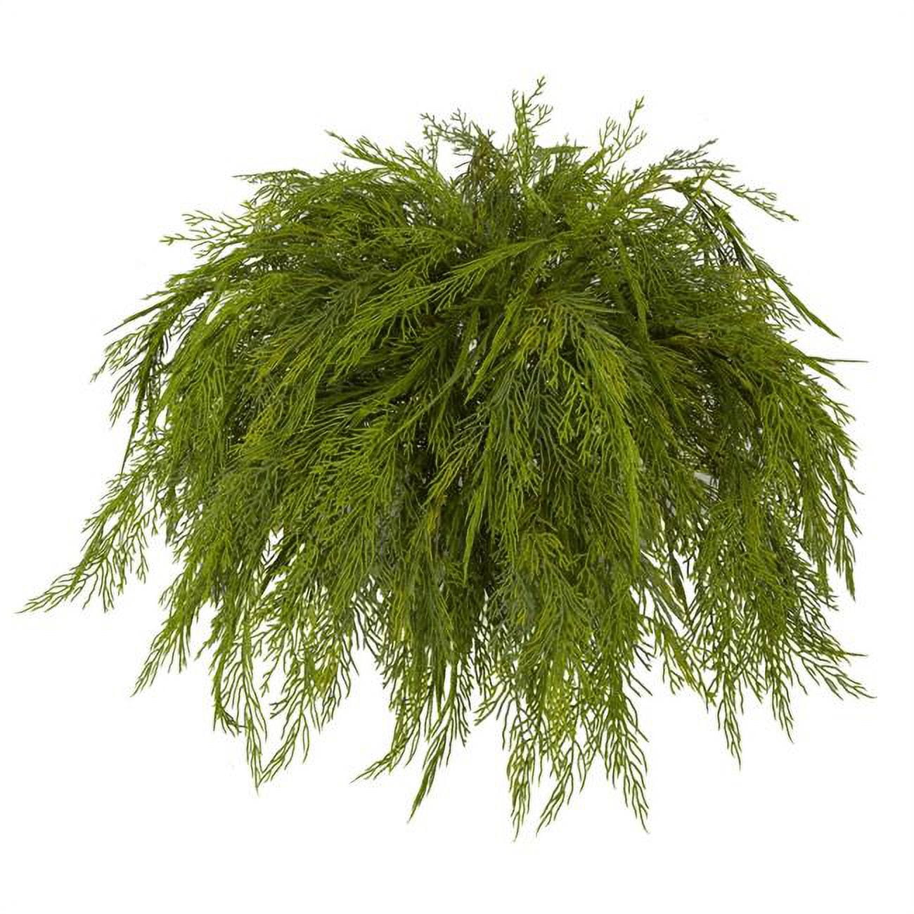 Picture of Autograph Foliages A-200070 31 in. Poly Mop Head Cypress Bush&#44; Tutone Green