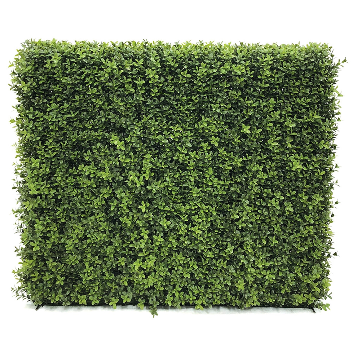 Picture of Autograph Foliages AR-200670 30 x 12 x 36 in. FireSafe Boxwood Hedge on Wired Frame&#44; Green