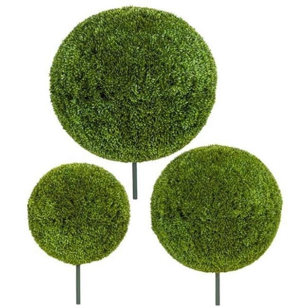 24 in. Japanese Boxwood Ball, Tutone Green