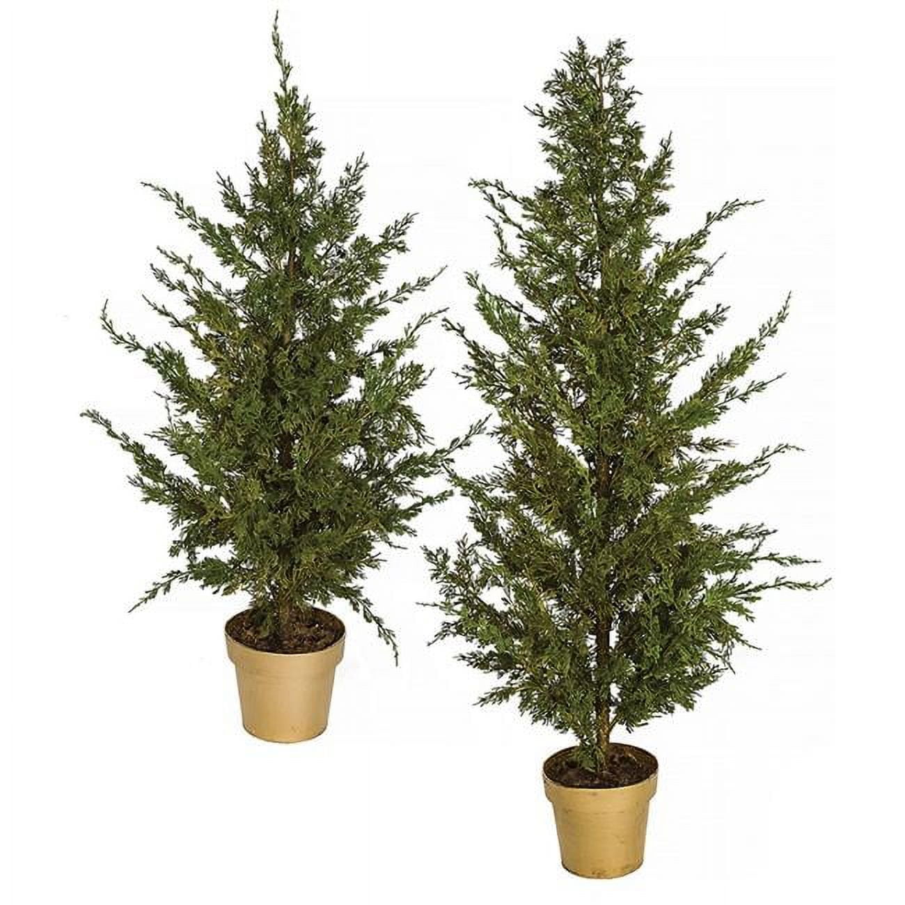 A-191180 4 x 5 ft. Potted Eastern Red Cedar Tree, Green