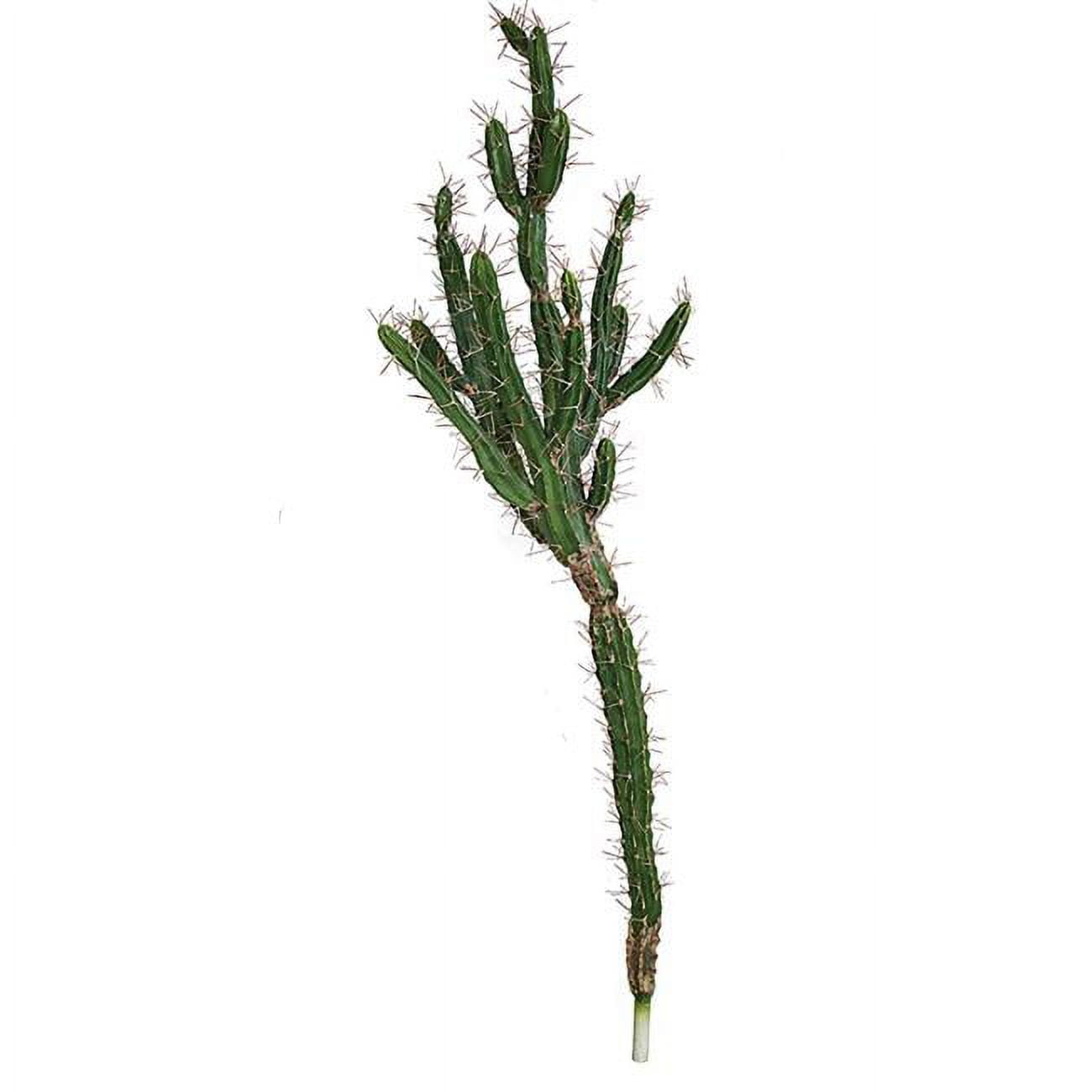 57 in. Plastic Cactus Plant, Green
