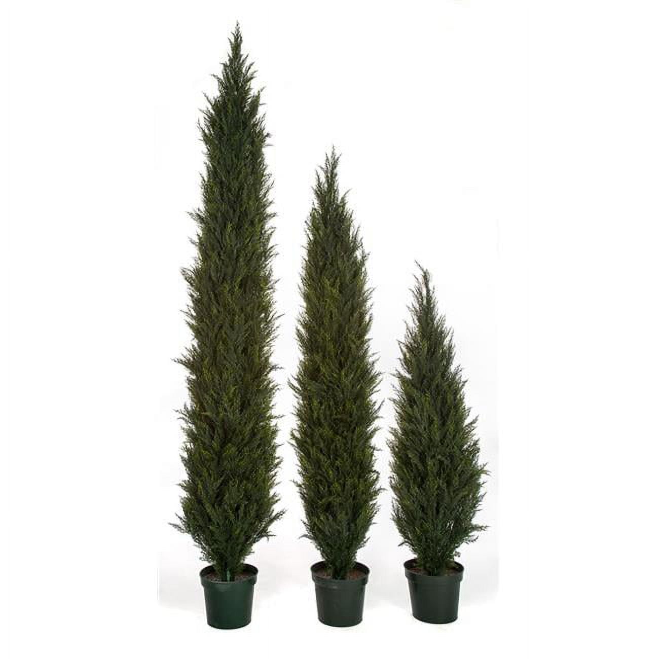 Picture of Autograph Foliages AUV-150006 6 ft. Outdoor UV Rated Cypress Tree, TT Green