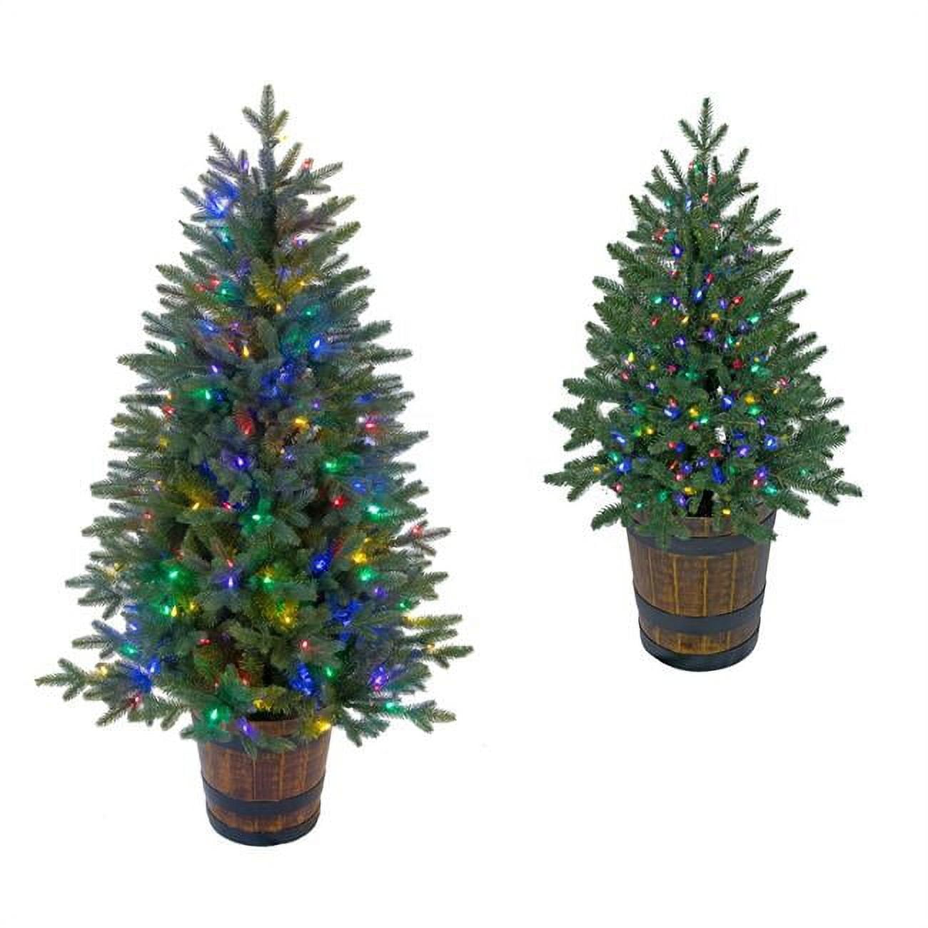 3 ft. Potted Slim Hamilton Pine Trees with Multi-Colored & Multi-Function LED Lights