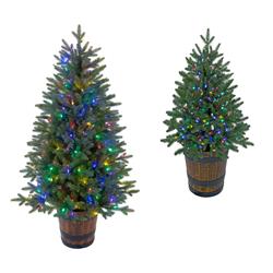 5 ft. Potted Slim Hamilton Pine Trees with Multi-Colored & Multi-Function LED Lights