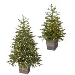 5 ft. Potted Western Hemlock Trees, Green