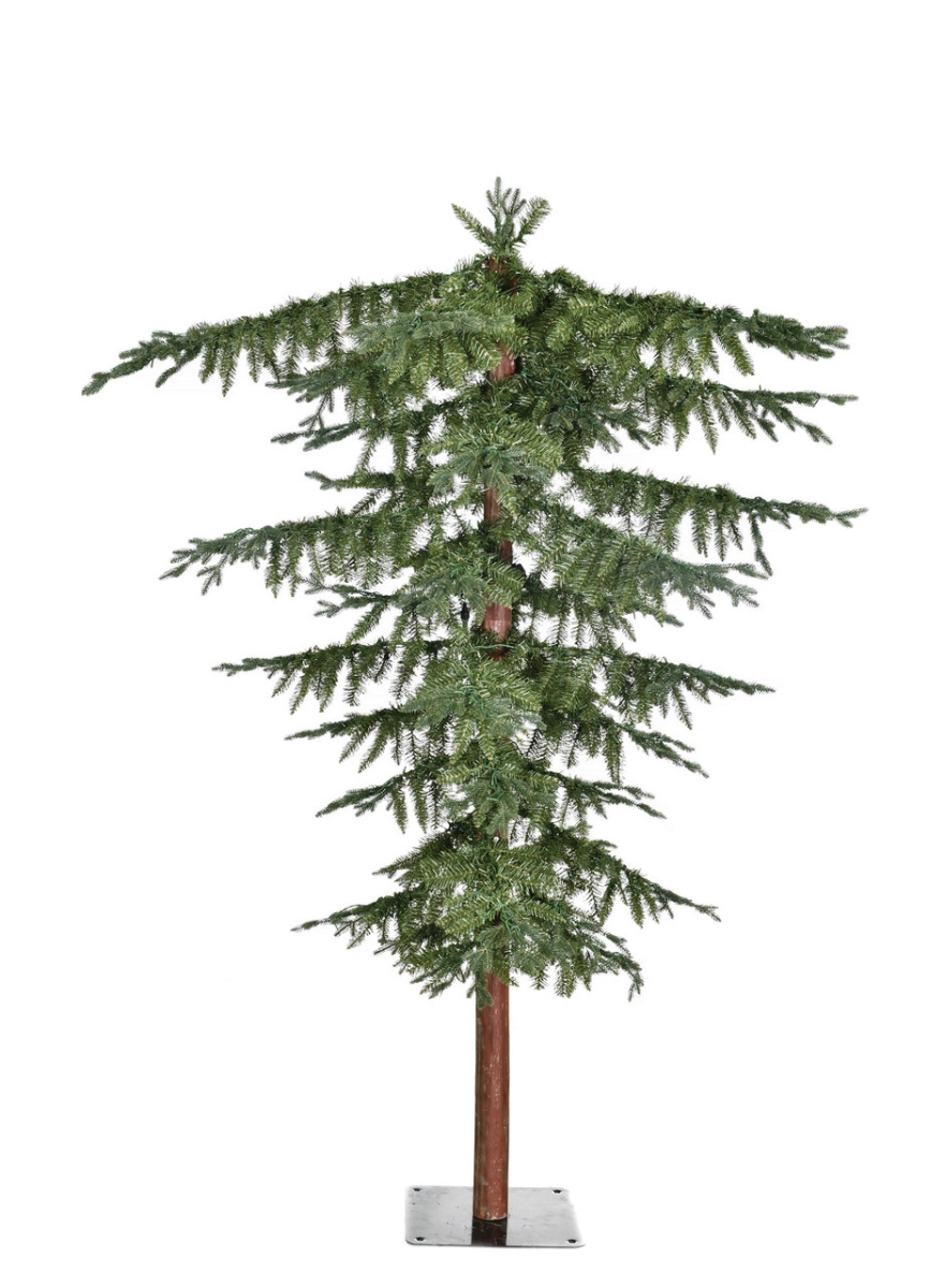 Picture of Autograph Foliages C-231924 7.5 ft. Umbrella Pine Tree