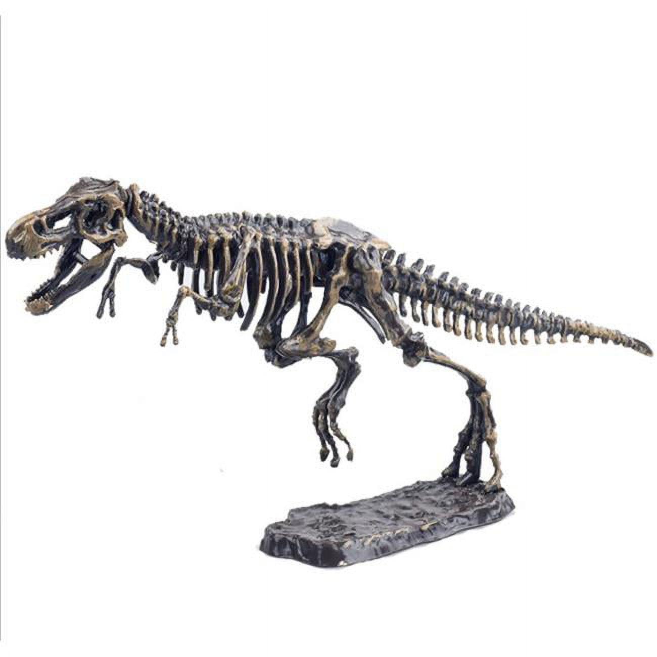 Picture of AZ Trading & Import DS501 Dinosaur T-Rex Skeleton Fossil Excavation Kit