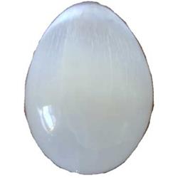 Picture of AzureGreen GESEL2 2.5 in. Selenite Egg