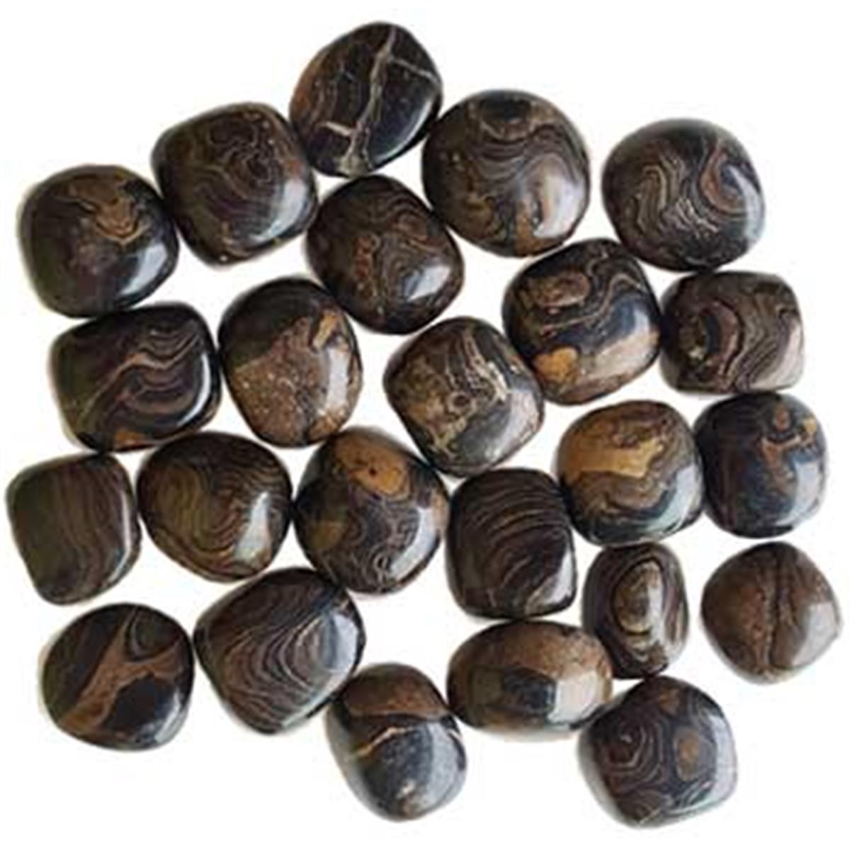 1 lbs Stromatolite Tumbled Stones - Brown