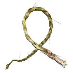 Picture of Azure Green RSWE713 18-24 in. Sweetgrass Braid