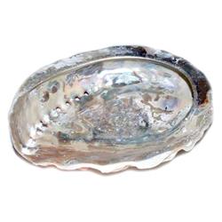 Picture of AzureGreen IBA7132 4 in. Abalone Shell incense Burner