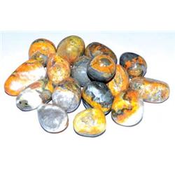Bumble Bee Jasper Tumbled Stones - Multicolor - 1 lb - Chakra Healing Stone