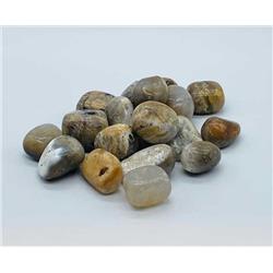 Dendritic Agate Tumbled Stones - Multi-Color - 1 lb - Natural Healing Gem