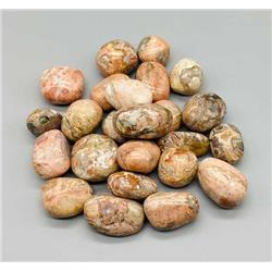 Jasper Picasso Tumbled Stones - Multicolor - 1 lb - Earth Connection Stone