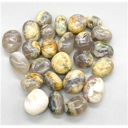 Opalized Petrified Wood Tumbled Stones - Multicolor - 1 lb - Grounding Stone