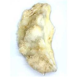 Picture of AzureGreen GCJASS3 1.5 - 2.3 lbs Jasper Septarian Cluster Stone&#44; Yellow & Golden