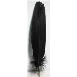 RFBLA10 12 in. Feather, Black - Set of 10
