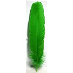 RFGRE10 12 in. Feather, Green - Set of 10