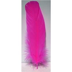RFPIN10 12 in. Feather, Pink - Set of 10