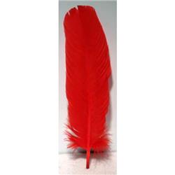 RFRED10 12 in. Feather, Red - Set of 10